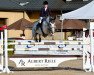 jumper Aronia (Oldenburg show jumper, 2007, from Argentinus)