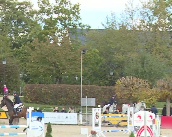 Reitturnier Frankenhof-Sonnefeld/Ofr. 2024