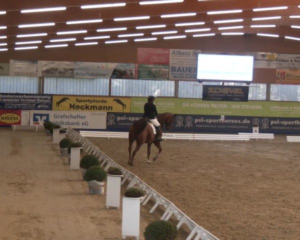 Reitturnier Isterberg 2024
