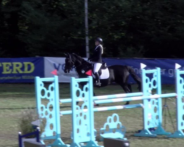 Reitturnier Scharnebeck 2024