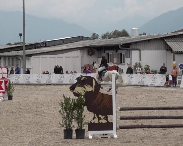 Reitturnier Giubiasco 2024