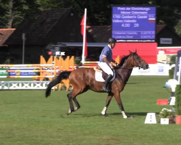 Westfalen-Woche 2013