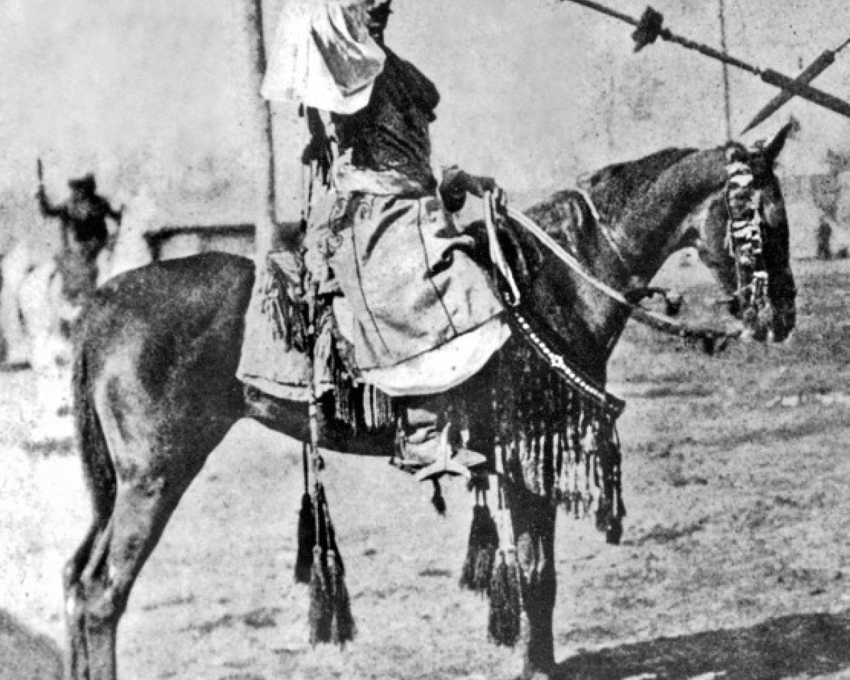 broodmare Galfia DB (Arabian purebred, 1887)