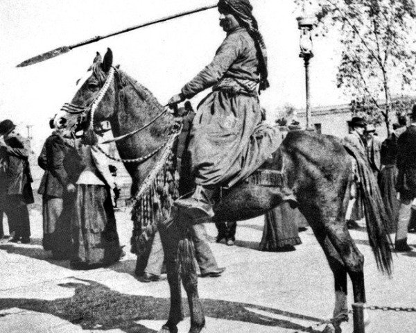 stallion Mannaky DB (Arabian thoroughbred, 1890)