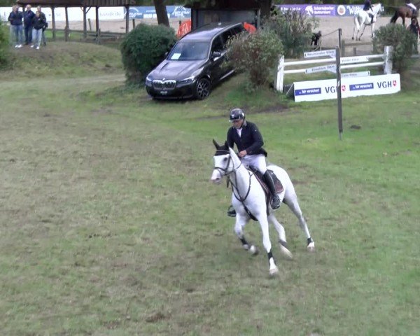 Reitturnier Scharnebeck 2024