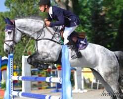 jumper Lamborgini (Oldenburg show jumper, 2005, from Carinue)