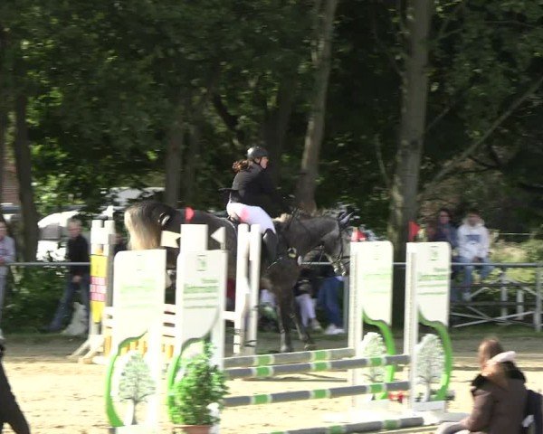 Reitturnier Kamen 2024