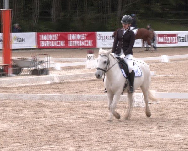 Reitturnier Igls 2024