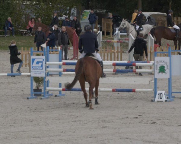 Reitturnier Pietzpuhl 2024
