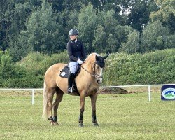 dressage horse Ida du Riotord (Selle Français, 2018, from Cerventes)