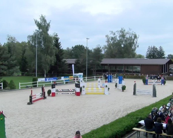 Reitturnier Dielsdorf 2024
