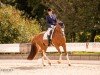 dressage horse Fürstin Ramona (Hanoverian, 2014, from Fürst Romancier)