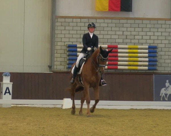 Reitturnier Bottrop-Kirchhellen 2024