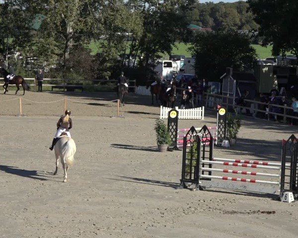 Reitturnier Scharnebeck 2024
