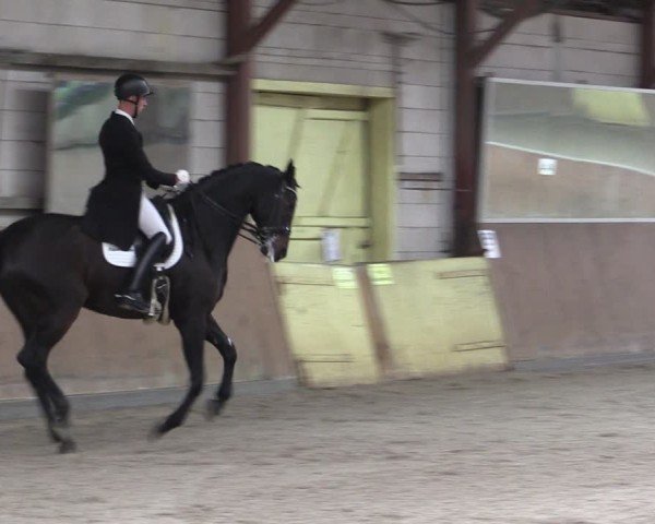 Reitturnier Elisenau 2024
