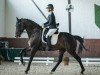 dressage horse Siggy Stardust (Hanoverian, 2016, from Scolari)