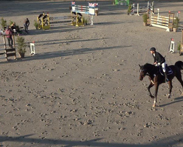 Reitturnier Scharnebeck 2024