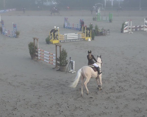 Reitturnier Scharnebeck 2024
