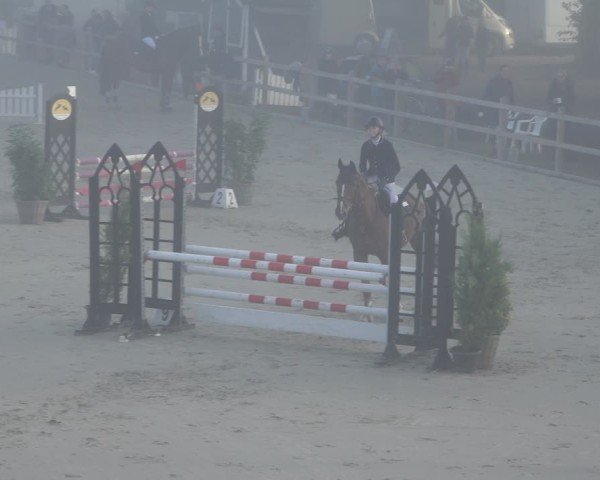 Reitturnier Scharnebeck 2024