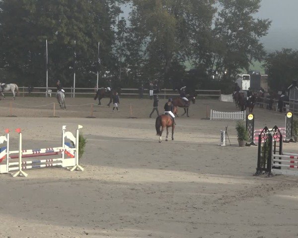 Reitturnier Scharnebeck 2024