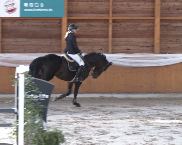 Reitturnier Xanten - Reitanlage Miss 2024