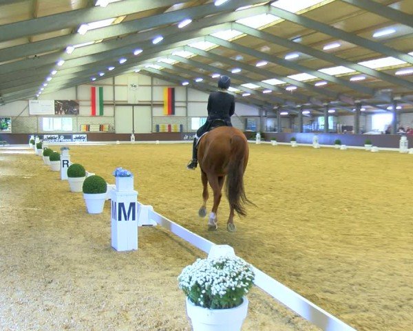 Reitturnier Bottrop-Kirchhellen 2024