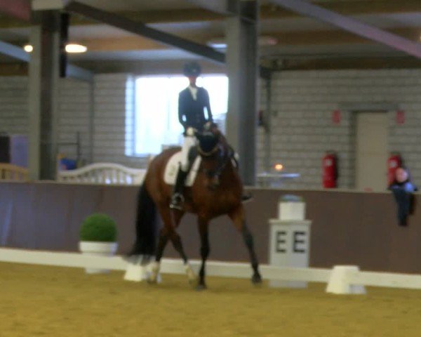 Reitturnier Bottrop-Kirchhellen 2024