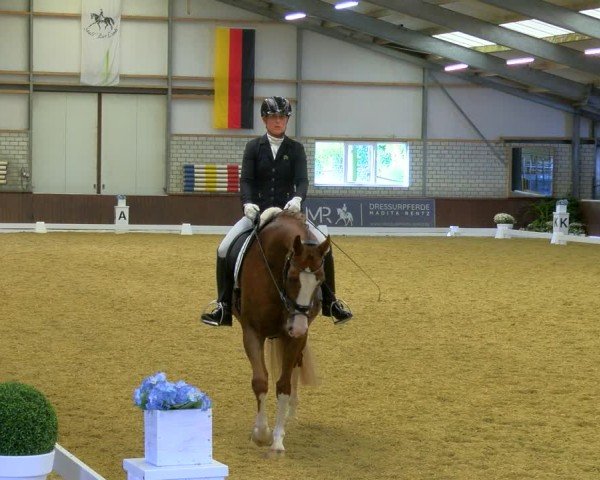 Reitturnier Bottrop-Kirchhellen 2024