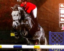 jumper Beckham 13 (Oldenburg show jumper, 2005, from Balou du Rouet)