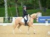 dressage horse Bergerhof's Olympico (German Riding Pony, 2018, from High Flow's Oxford)