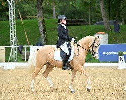 dressage horse Bergerhof's Olympico (German Riding Pony, 2018, from High Flow's Oxford)