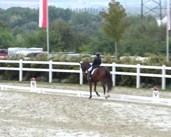 Reitturnier St. Margarethen 2024