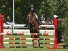 horse Maybach 15 (Bulgarian Warmblood, 2020, from Micado)