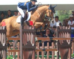 jumper Simon (KWPN (Royal Dutch Sporthorse), 1999, from Luidam)