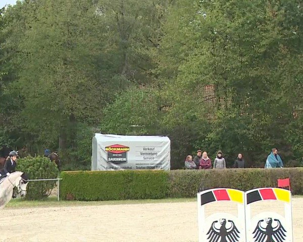 Reitturnier Frankenhof-Sonnefeld/Ofr. 2024