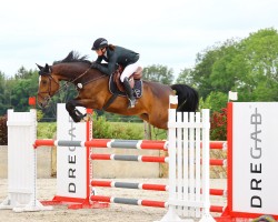 jumper Maloubet 4 (German Sport Horse, 2018, from Maloubet de Pleville)