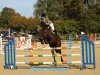 jumper Global Moon (German Sport Horse, 2016, from Geraldo 15)