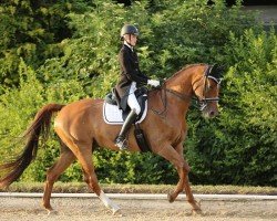 dressage horse Spassvogel DF (Saxony-Anhaltiner, 2004, from Samba Hit I)