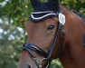 dressage horse Hennessy 126 (KWPN (Royal Dutch Sporthorse), 2012, from Bordeaux 28)