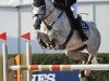 jumper Hickstead's Heidi W (Holsteiner, 2018, from Hickstead White)