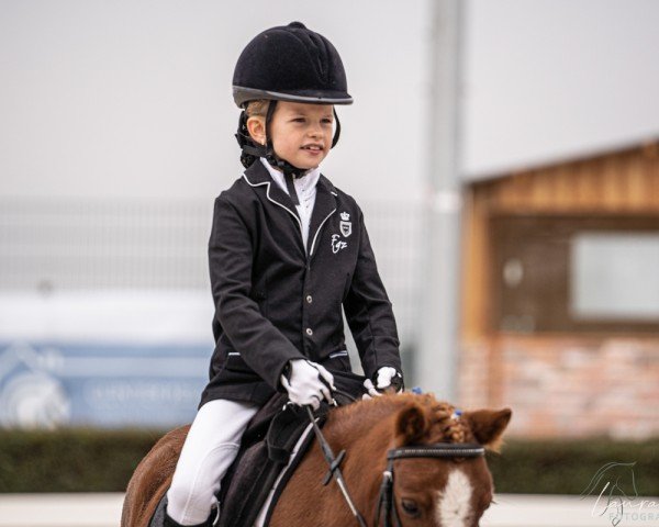 Pferd Emma vom Borkenbrink (Shetland Pony (unter 87 cm), 2017, von El Nando II)