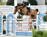 jumper Sligo Balou Boy (Irish Sport Horse, 2009, from Balou du Rouet)