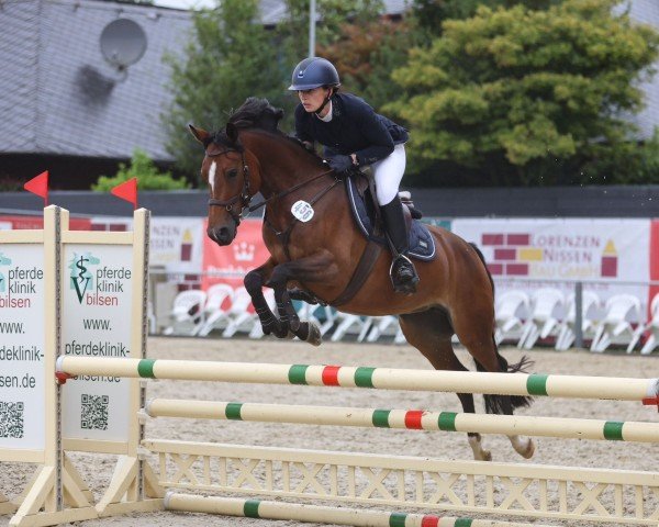 jumper Los Angeles at Night (German Riding Pony, 2019, from Del Piero 25)