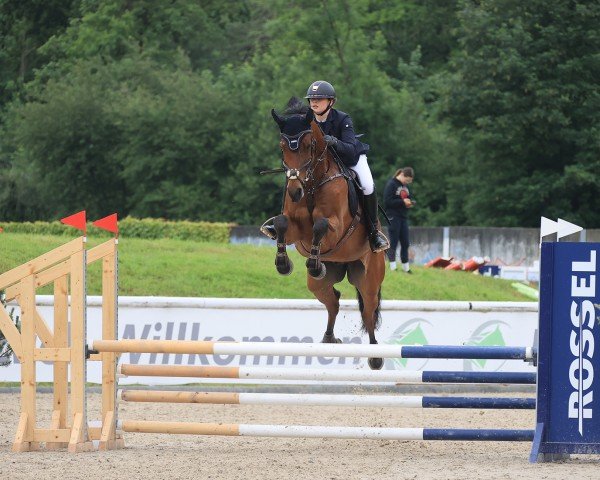 jumper Rocking Summer (Oldenburg, 2016, from Rock Forever NRW)