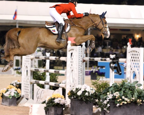 jumper G And C Flash (Hanoverian, 2002, from Forrester)