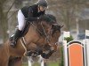 jumper Qroquant van het Klaverveld (Belgian Warmblood, 2016, from Carlow van de Helle)