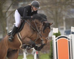 jumper Qroquant van het Klaverveld (Belgian Warmblood, 2016, from Carlow van de Helle)