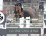 jumper Lieschen (Oldenburg show jumper, 2010, from Lord Pezi)