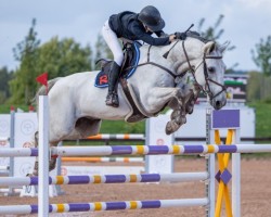 jumper Backwoods Challenger (Finnish Warmblood, 2013, from Chacco-Blue)