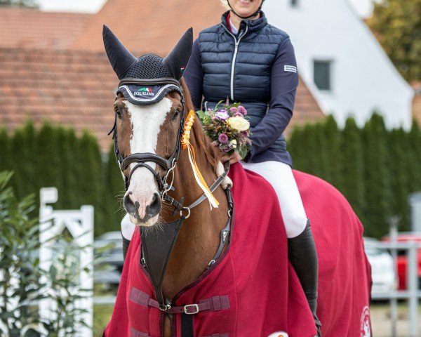 jumper Chicago 214 (Hanoverian, 2015, from Cascalido)